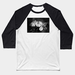 Cherry Tree Blossoms Baseball T-Shirt